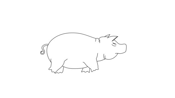 Caricatura Cerdo Caminando Sobre Fondo Blanco Aislado — Vídeos de Stock