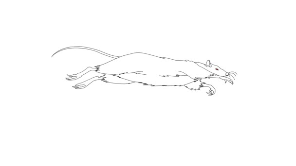 Esecuzione Del Fumetto Del Mouse Sfondo Bianco Isolato — Video Stock