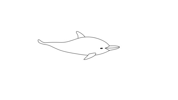 Κολύμβηση Σκίτσο Δελφίνι Απομονωμένο Λευκό Φόντο — Αρχείο Βίντεο