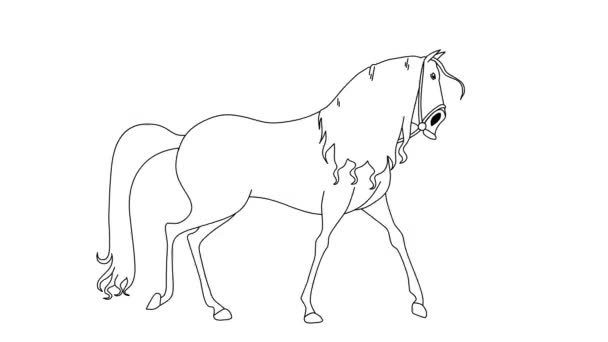 Walking Horse Cartoon Auf Isoliertem Weißen Hintergrund — Stockvideo