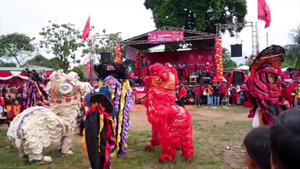 Muntok Indonésia Setembro 2022 Performance Dança Arte Reog Dança Leão — Vídeo de Stock