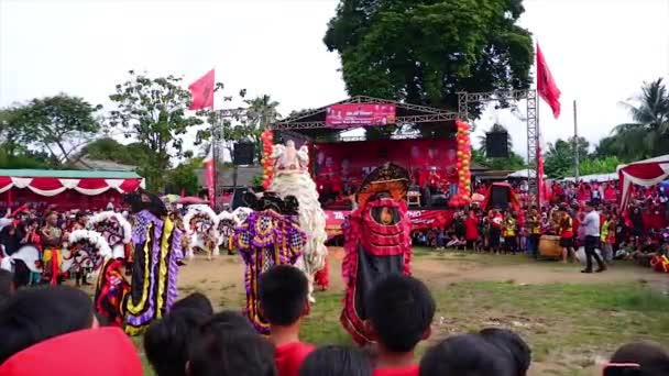 Muntok Indonesia September 2022 Indonesisk Kulturkonst Reog Och Lejondans Attraktioner — Stockvideo