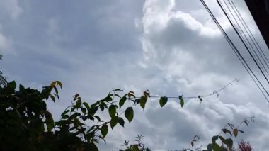 Bulutların berrak mavi gökyüzü ve bazı ağaç ve elektrik hatlarıyla hareket etmesi