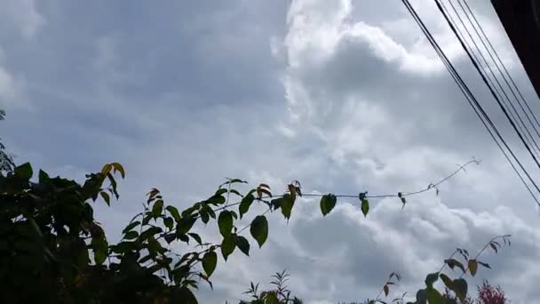 蓝天云彩的运动与树木 电线的运动 — 图库视频影像