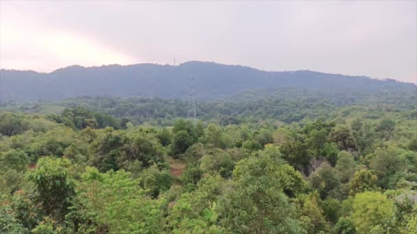 Naturalny Widok Gęstego Lasu Tropikalnego Pod Górami Mieście Muntok Indonezja — Wideo stockowe
