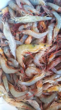 Taze çiğ karides yığını Gambas Deniz Ürünleri atıştırmalığı