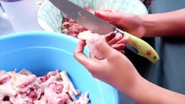 Gün Içinde Tavuk Etini Bıçakla Temizleyen Asyalı Bir Kadının Eli — Stok video