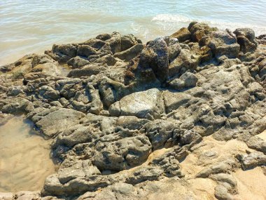 Çamurlu denizin kenarındaki doğal kayalar alçak gelgitte görülebilir.