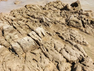 Çamurlu ve desenli sahilde kayalar.