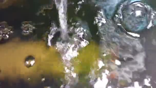 Eine Nahaufnahme Von Klaren Schweren Wassertropfen Aus Einem Dekorativen Aquarium — Stockvideo