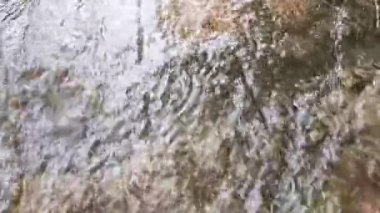 Bir Yağmur Suyu Deresi Bir Yol Üzerinde Hızla akıyor, Yakın plan Görünümü