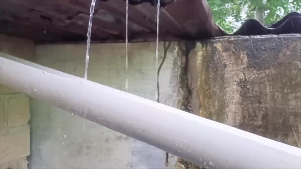 Βρόχινο Νερό Ρέει Ελεύθερα Από Την Οροφή Στο Σωλήνα Paralon — Αρχείο Βίντεο