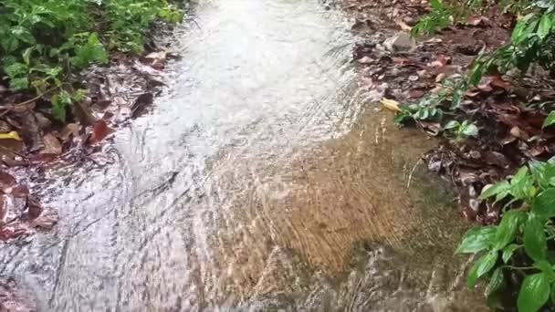 Woda Przepływająca Chodnikiem Podczas Deszczu Mieście Muntok Indonezja — Wideo stockowe