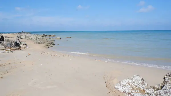 Endonezya 'nın Tanjung Kalian Sahili' nin Doğal Manzaraları