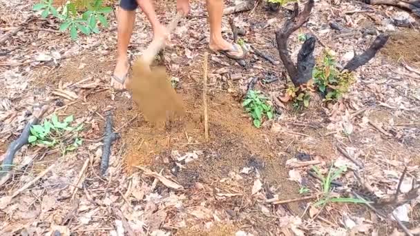 Belo Laut Indonesia Desember 2023 Farmer Working Hoe Hole Garden — Stockvideo