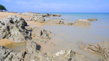 Endonezya 'nın Tanjung Kalian, Tropikal Sahilindeki Mercan Kayaları