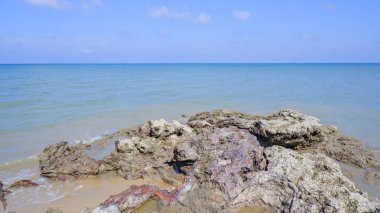 Endonezya, Tanjung Kalian tropikal denizinin kıyısında birikmiş büyük mercan kayalarının doğal görüntüsü