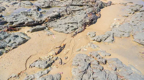 Natural View Of Natural Rocks Lying On The Sand Of A Tropical Beach