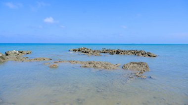 Tropikal Deniz 'deki Doğal Mercan Kayaları, Tanjung Kalian, Endonezya