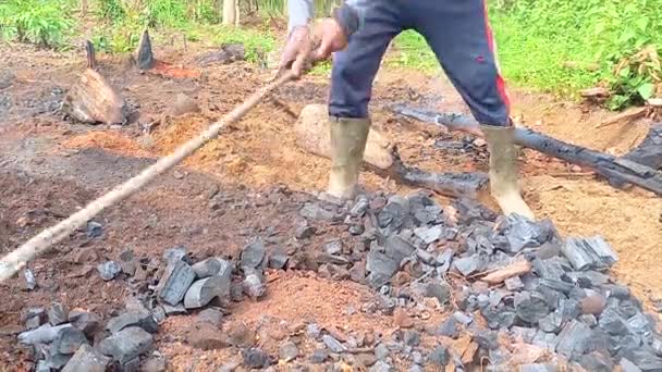 Homem Trabalhar Para Recolher Carvão Quente Jardim Usando Uma Garra — Vídeo de Stock