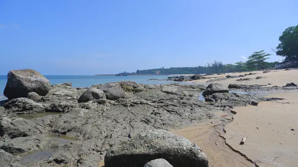 Tanjung Kalian, Endonezya 'nın tropikal kıyı şeridindeki doğal mercan kayaları manzarası