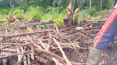 Aktivitelerini gerçekleştiren bir çiftçi. Gün boyunca bahçede dal ve yakacak odun topluyor.