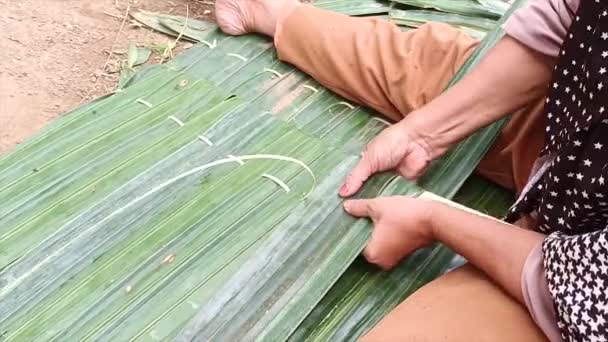 パームの葉から葉を屋根にしている女性労働者の活動 — ストック動画