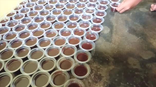 Les Mains Petit Enfant Qui Organise Pudding Chocolat Chaud Dans — Video