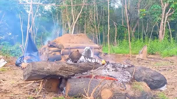 在白天的花园里 有一大堆燃烧着的木柴 — 图库视频影像
