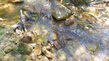Dağlardan akan temiz bir nehir Dibindeki büyük kayalarla