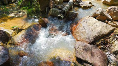 Kaya yarıkları arasında akan dağlardan taze su nehirleri.