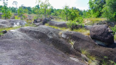 Gün boyunca yeşil ağaçlarla tepelerdeki dağlık kayaların büyüleyici doğal manzarası.