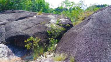 Endonezya 'nın Daya Baru köyündeki Tropikal Ormanların ortasındaki Büyük Dağ Kayalarının Büyüleyici Doğal Manzaraları