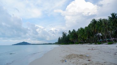 Güzel doğal Penganak Sahili ve Deniz manzarası Yüksek Hindistan cevizi ağaçları ve açık gökyüzü