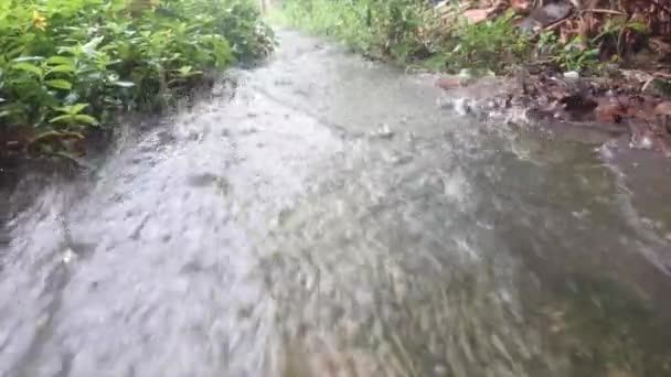 Ein Starker Regenwasserstrom Nachmittag Auf Dem Fußweg Hof — Stockvideo