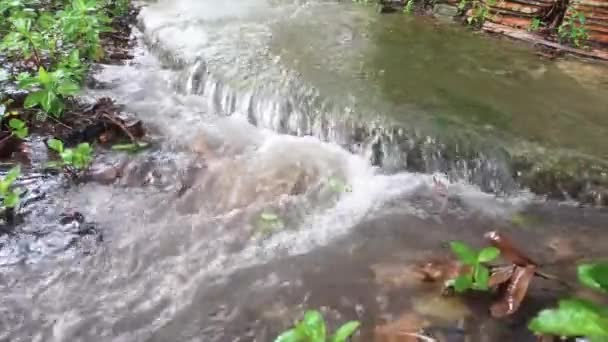 Een Sterke Stroom Van Water Uit Regen Vallen Tuin Achter — Stockvideo