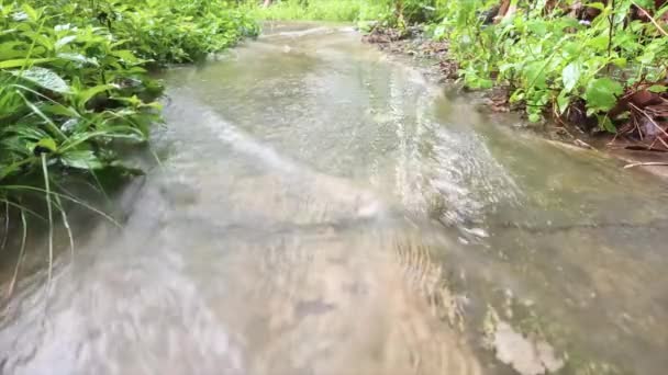 Silny Dopływ Wody Ulewnego Deszczu Drodze Domu — Wideo stockowe