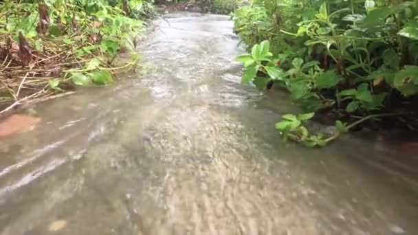 Woda Deszczowa Szybko Płynie Ścieżce Dziedzińcu Domu — Wideo stockowe
