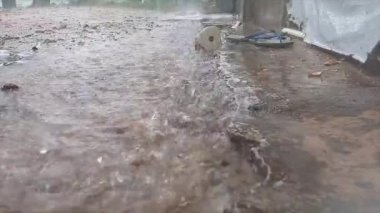 Evin bahçesine şiddetli ve yoğun yağmur damlaları yağdı.