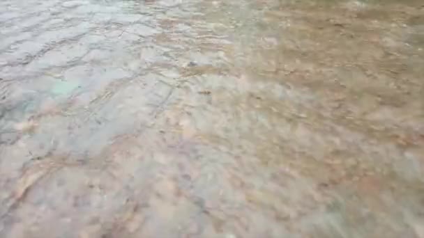 Pfützen Aus Klarem Regenwasser Das Auf Der Oberfläche Des Bodens — Stockvideo