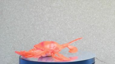 Pembe yengeç şeklinde bir çocuk lastiği oyuncağı. Dönen bir ekranı var.