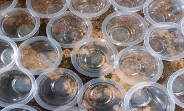 Plastik Puding Fincanlarının Güzelce ve Sıkıca Düzenlenmiş Görüntüsü