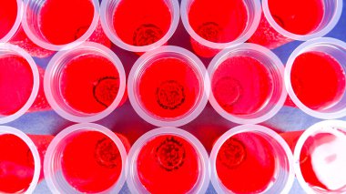 Bir tabak kırmızı şurup, sıkıca yerleştirilmiş ve yukarıdan çekilmiş.