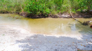 Endonezya 'nın Belinyu köyünde sığ bir yüzeyi olan tatlı su nehrinin doğal görüntüsü.