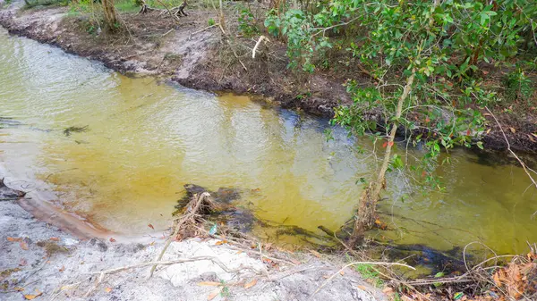 Yüzeyi sığ Doğal Tatlı Su Irmağı