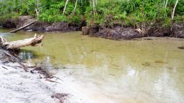 Temiz ve taze suyu olan doğal bir tatlı su nehri.