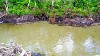 Berrak ve Sığ Nehir Suyunun Doğal Manzarası