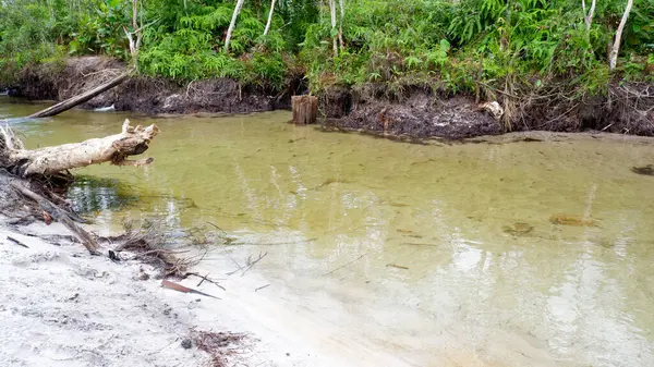 Temiz ve taze suyu olan doğal bir tatlı su nehri.
