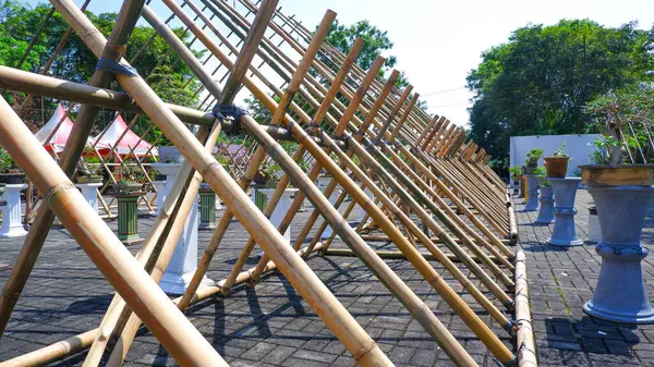 Bambudan yapılmış bir çerçeve inşaatı Bonsai fabrikası için bir çerçeve.