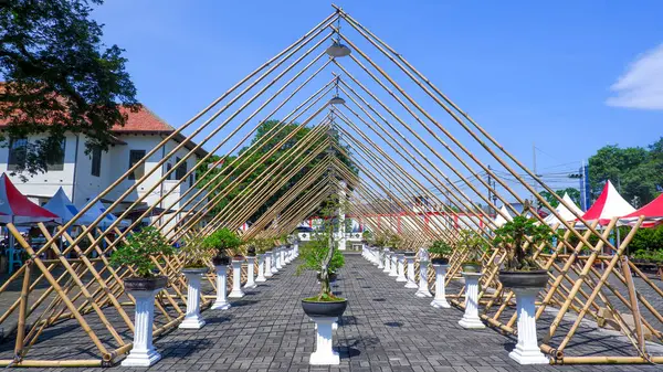 Bambu çerçeveli Bonsai Süs Bitkilerinin sergilendiği Bahçe Galerisinin Perspektif Manzarası